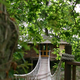 Illustration for article titled Bellavista's Biodigesting Treehouses Are Endor on Earth